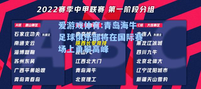 爱游戏体育:青岛海牛足球俱乐部将在国际赛场上勇攀高峰