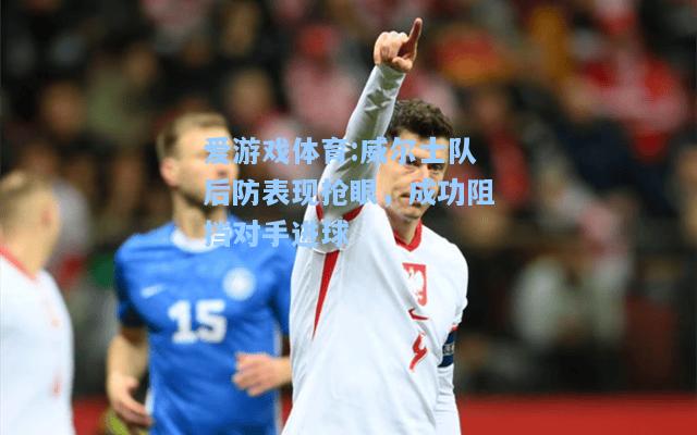 爱游戏体育:威尔士队后防表现抢眼，成功阻挡对手进球